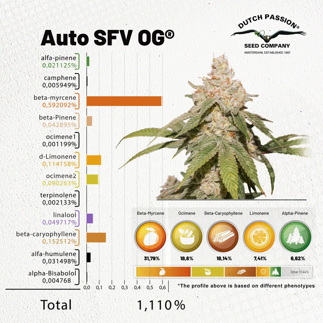 Auto-SFV-OG-terpenes-over-1-procent (1).